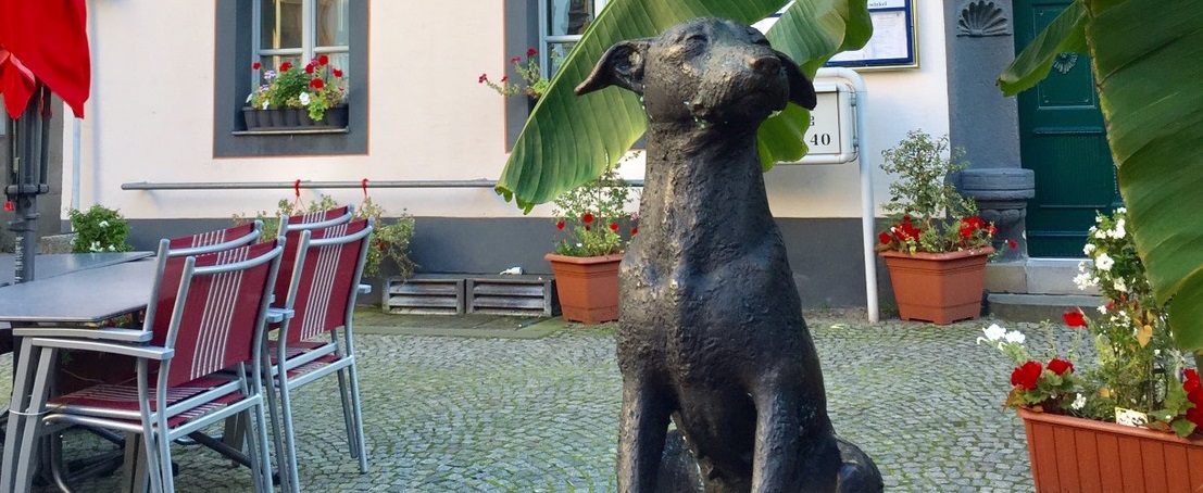 日本が恋しくなる犬との出合い