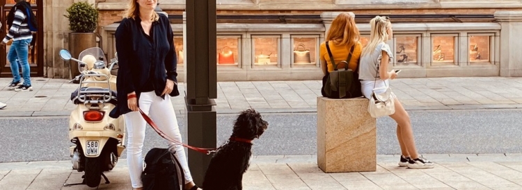 犬との散歩で気づく 四季と街の移ろい プレイアーデン公式