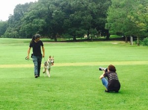 緑地で犬と共に散歩している男性を撮影する人