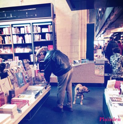 本屋で本を選んでいる男性と犬