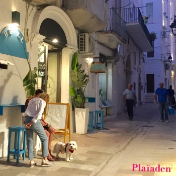 夕暮れ時のおしゃれなイタリアの街角を散歩する犬
