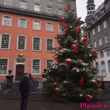 ドイツで見つけた大きなクリスマスツリー