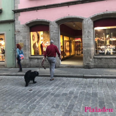 店の前を歩く飼い主と犬