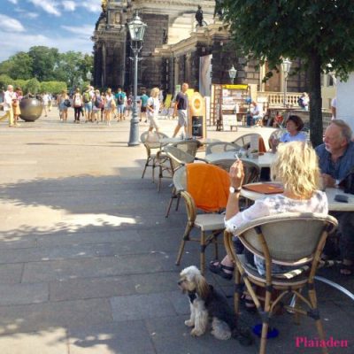 ドイツのオープンカフェで休憩する人たちと犬