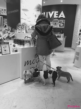 買い物中の女性に付き添う3匹の小型犬