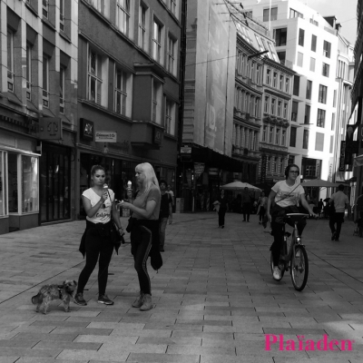 街を散歩する飼い主と愛犬