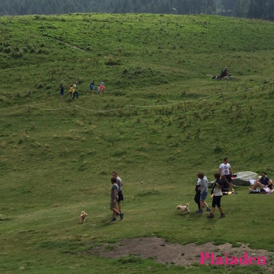 ペット先進国ドイツの風景 Nr.384