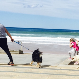 犬飼いの夏は早起きが欠かせない