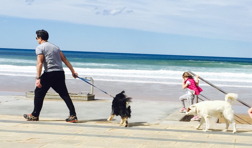 犬飼いの夏は早起きが欠かせない