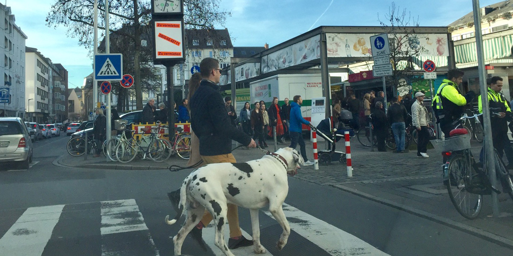 心ときめく春の散歩道を愛犬と歩く