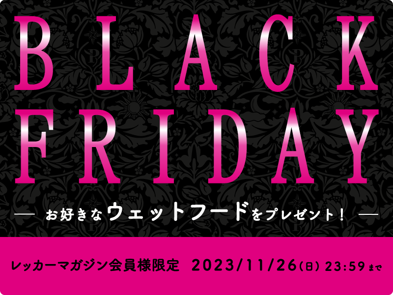 ブラックフライデーでお得にお買い物♪プレゼントキャンペーン開催！