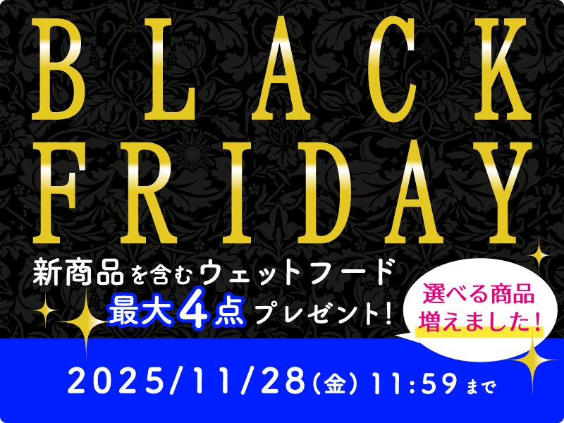 特典ラインナップ拡大！ブラックフライデーキャンペーンがパワーアップ！