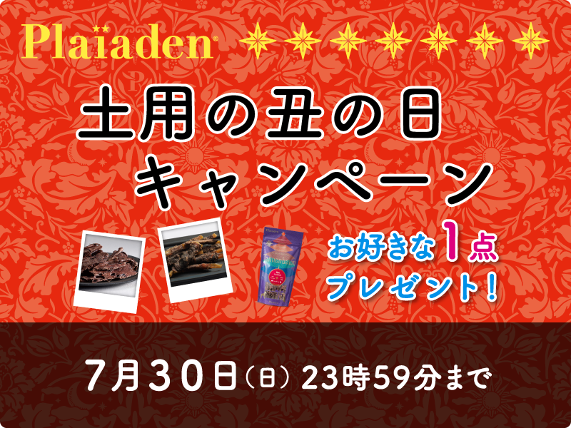 無添加おやつプレゼント！土用の丑の日キャンペーン開催♪