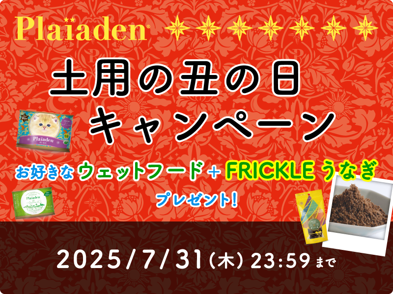 ウェットフード＋トッピングプレゼント！土用の丑の日キャンペーン開催♪