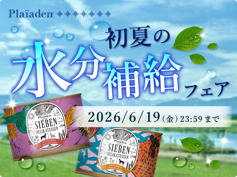 記事タイトル