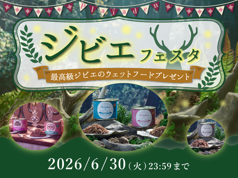 記事タイトル