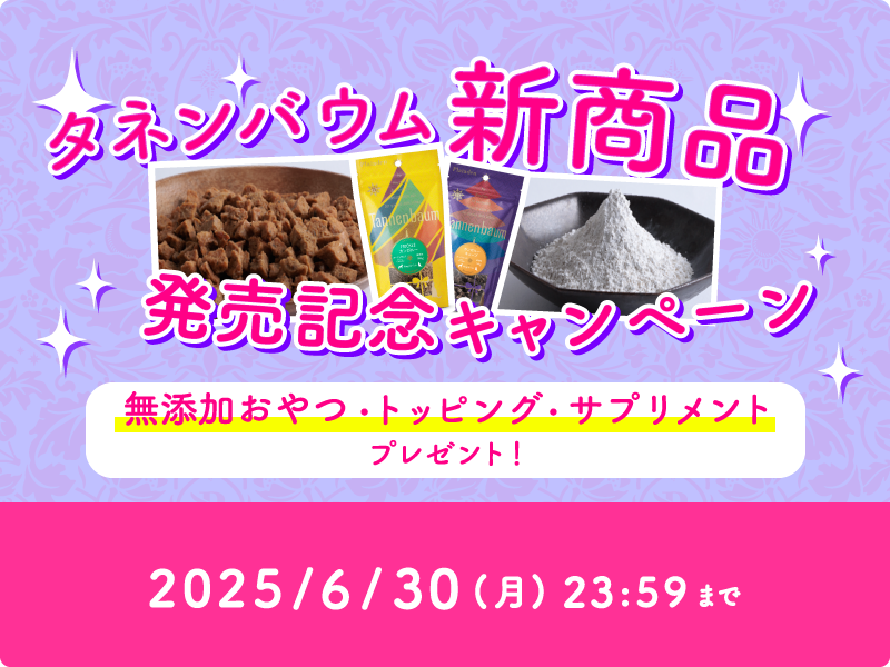 記事タイトル