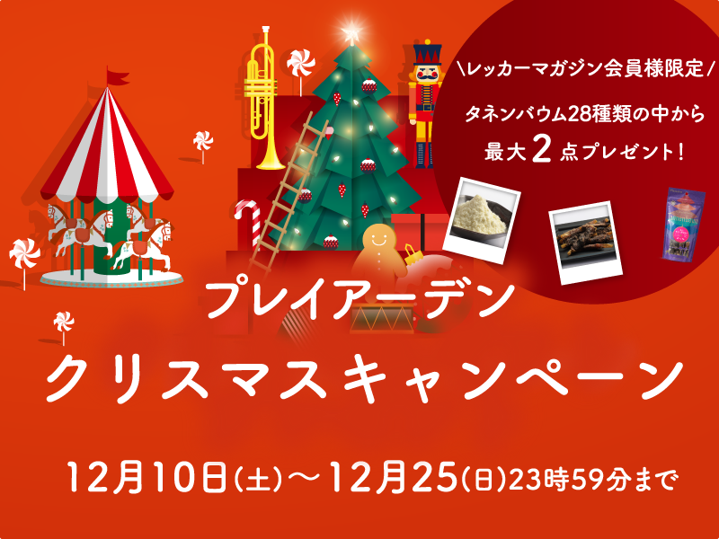 タネンバウムプレゼント！クリスマスキャンペーン開催♪