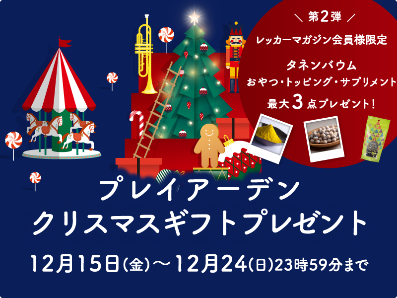 クリスマスギフト第2弾！タネンバウムを最大3点プレゼント！