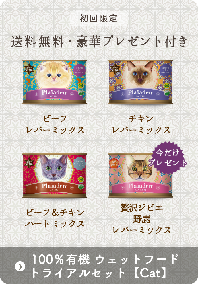初回限定 送料無料・豪華プレゼント付き「Cat　100％有機ウェットフードトライアルセット」