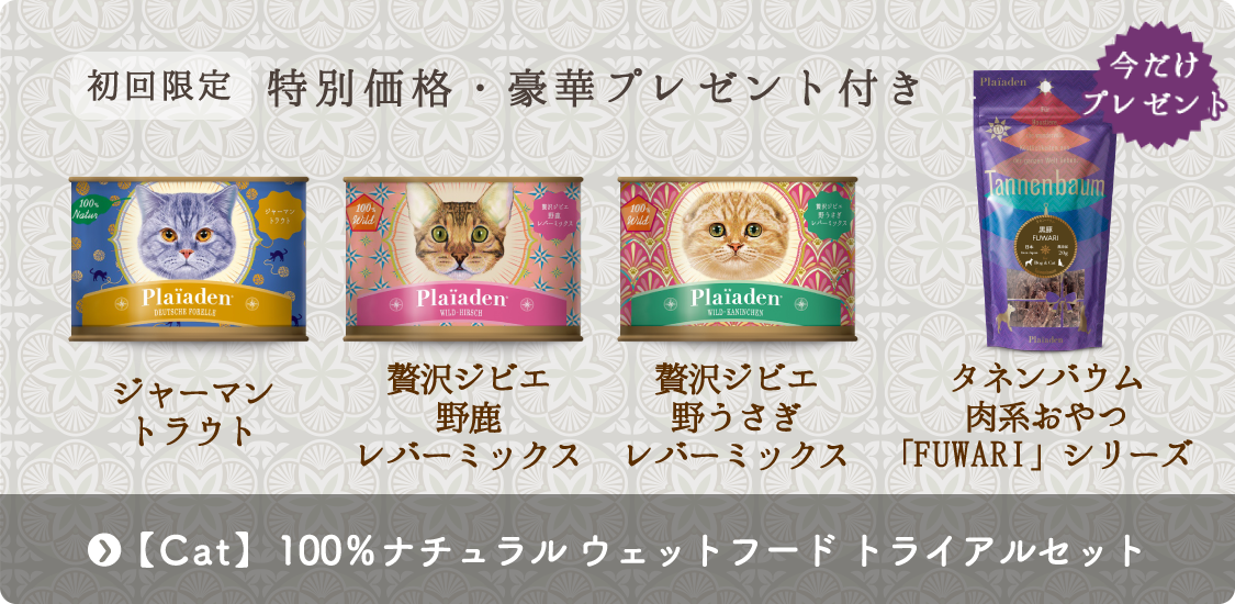 初回限定 特別価格・豪華プレゼント付き「Cat　100％ナチュラルウェットフードトライアルセット」