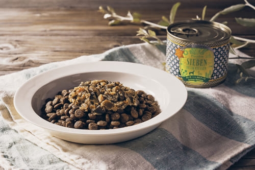 お皿に盛られたプレイアーデンのピュアベジグルメ「ズッキーニとスピナッチ」for Dog