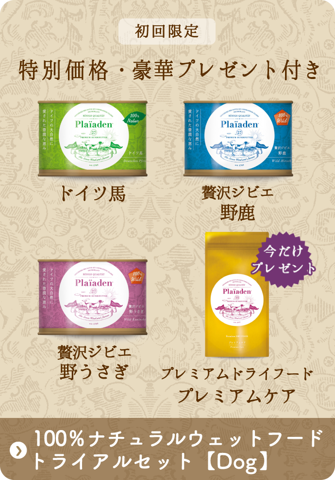 初回限定 特別価格・豪華プレゼント付き「Dog　100％ナチュラルウェットフードトライアルセット」
