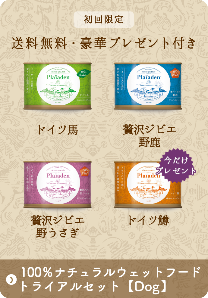 初回限定 送料無料・豪華プレゼント付き「Dog　100％ナチュラルウェットフードトライアルセット」