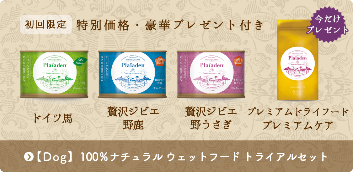 初回限定 特別価格・豪華プレゼント付き「Dog　100％ナチュラルウェットフードトライアルセット」