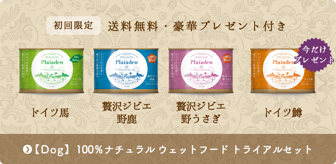 初回限定 送料無料・豪華プレゼント付き「Dog　100％ナチュラルウェットフードトライアルセット」