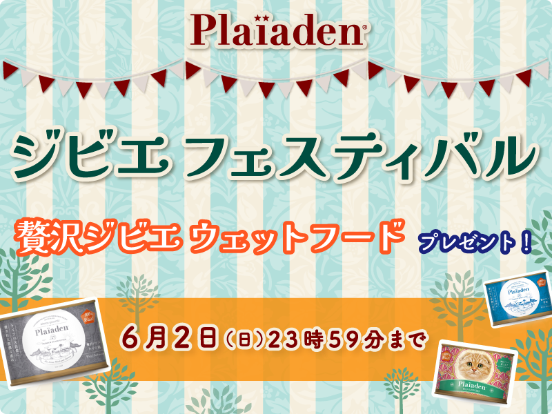 贅沢ジビエ ウェットフードプレゼント！ジビエフェスティバル開催♪