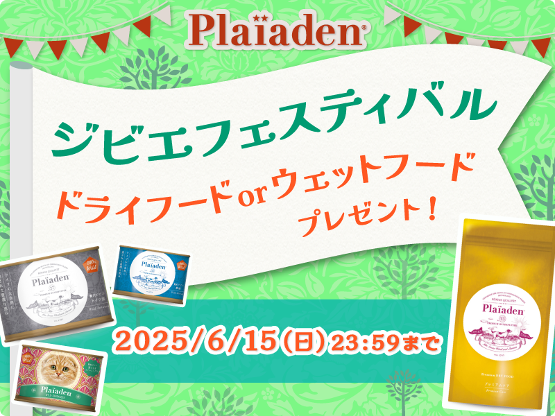 記事タイトル