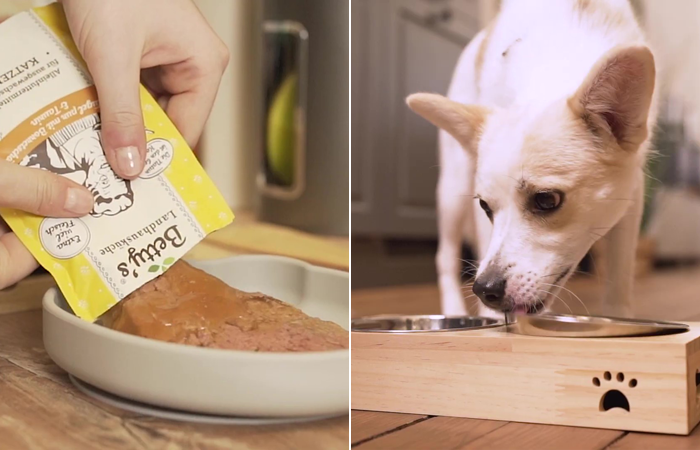 ベティおばあちゃんのペットフードの送料無料トライアルセットが新登場！