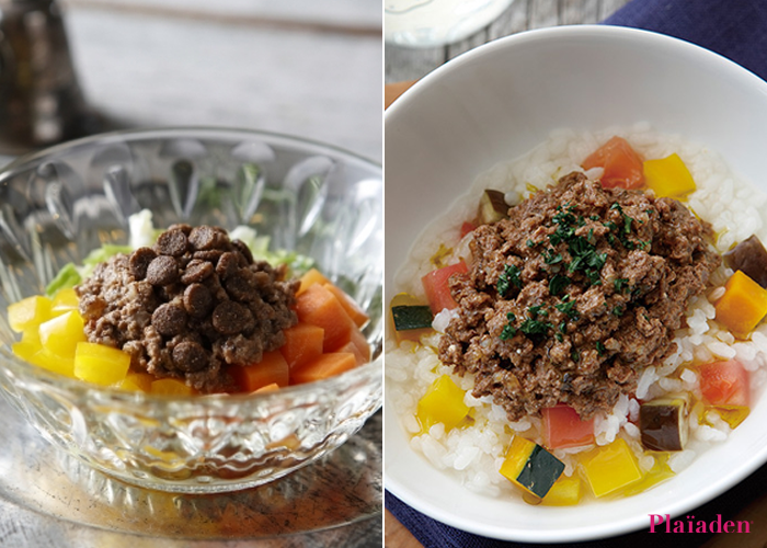 「今日は、なに食べる？」。愛犬の体調に合わせて選べる夏のアレンジレシピ。