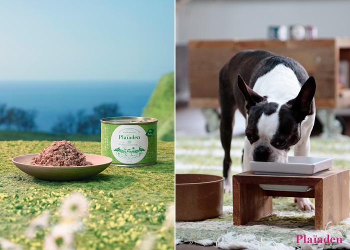 寒い冬を元気に乗り切るための栄養が詰まった「馬肉」のパワーに注目！