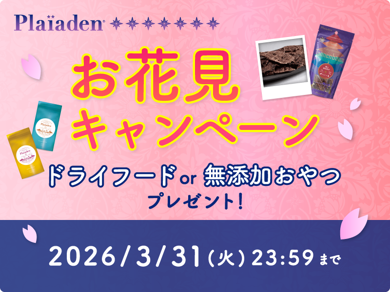 お花見キャンペーンスタート！持ち運びに便利なフード・おやつをプレゼント！