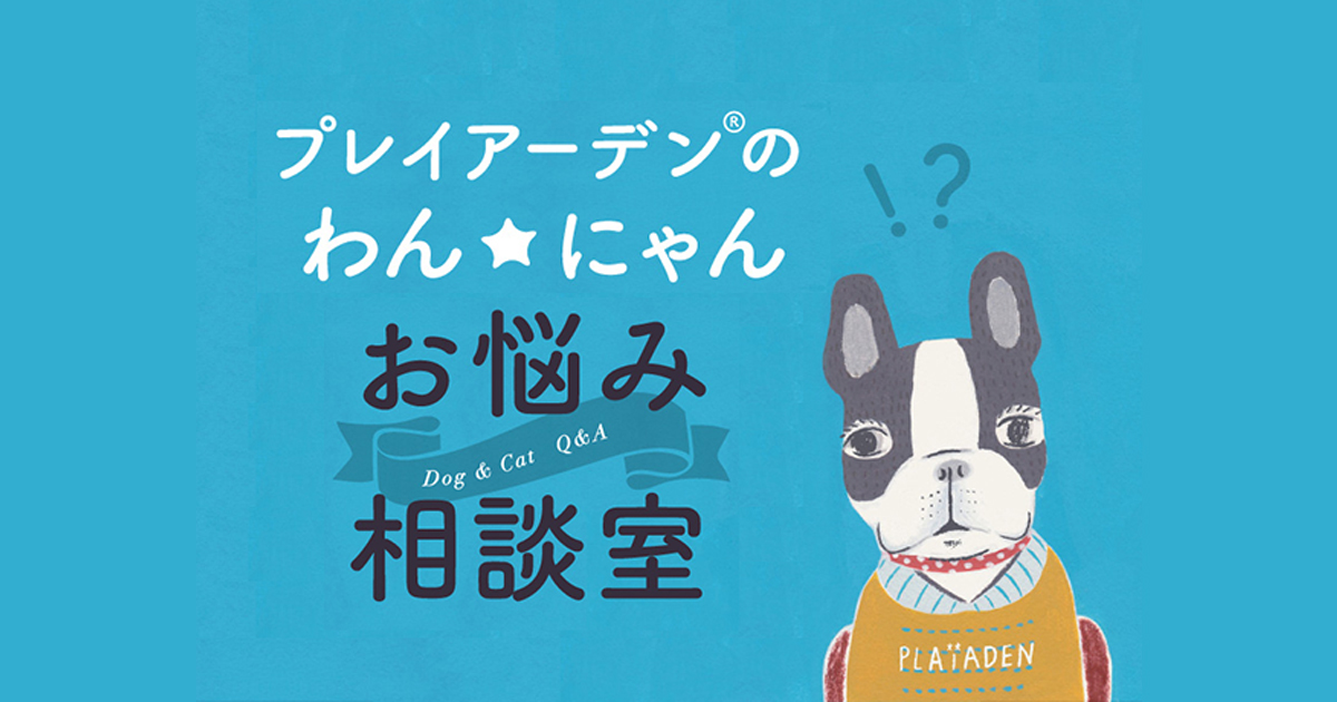 わん☆にゃん お悩み相談室 vol.7【季節の変わり目に食欲が落ちた時の