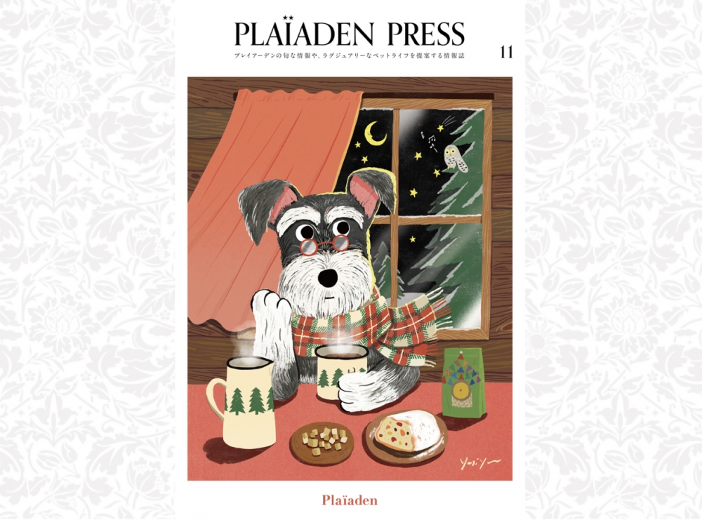 「PLAIADEN PRESS」vol.11のご紹介