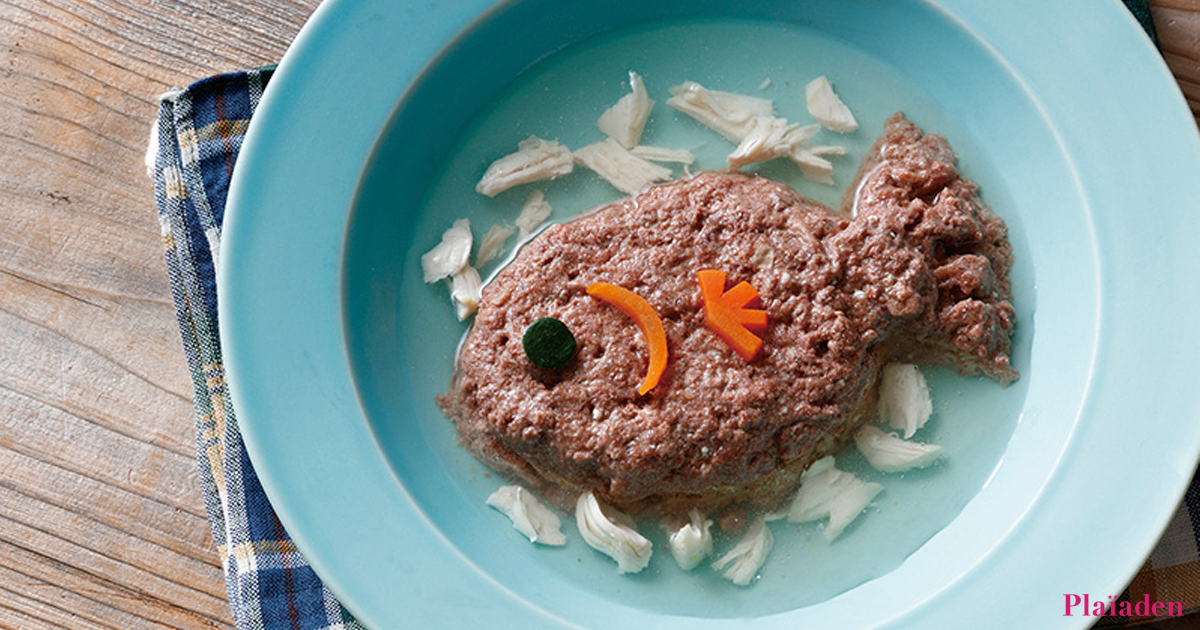 おいしいスープで水分補給「チキンづくしの贅沢スープ」 for Cat