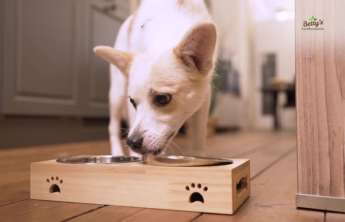 ベティおばあちゃんのペットフード