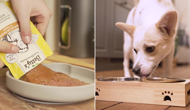 ベティおばあちゃんのペットフードのウェットフード