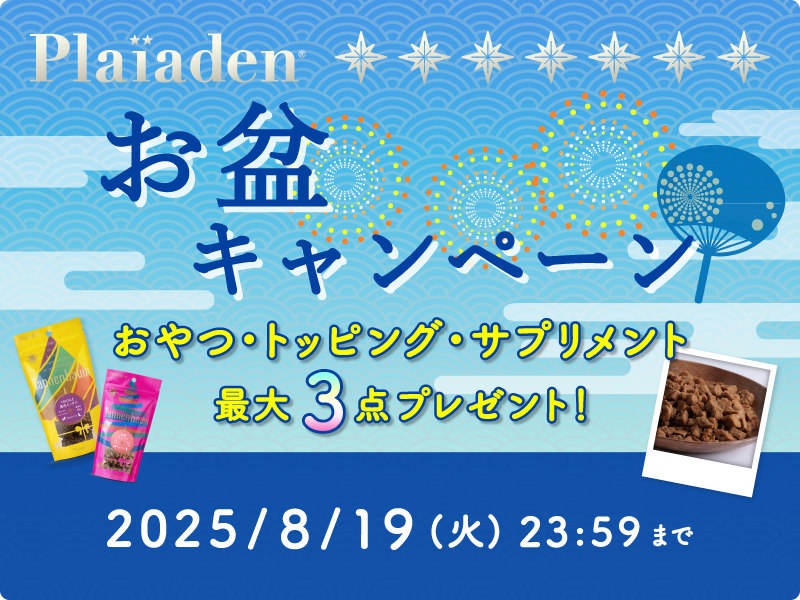 記事タイトル