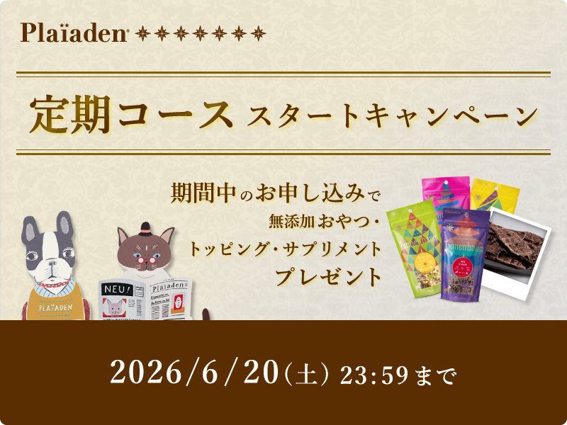 定期コーススタートキャンペーン開催！ お得に定期便を始めるチャンス！