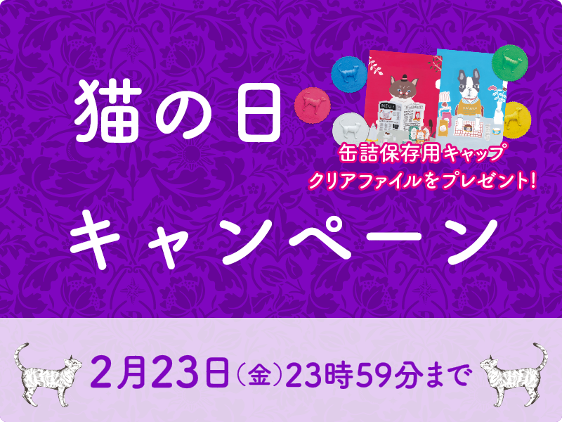 1週間限定！猫の日キャンペーンスタート！