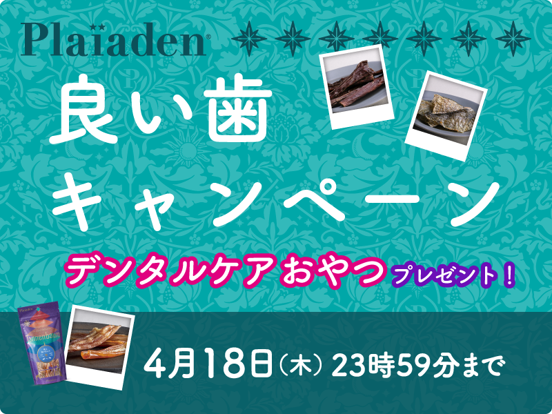 4月18日は「良い歯の日」。デンタルケアおやつをプレゼント！