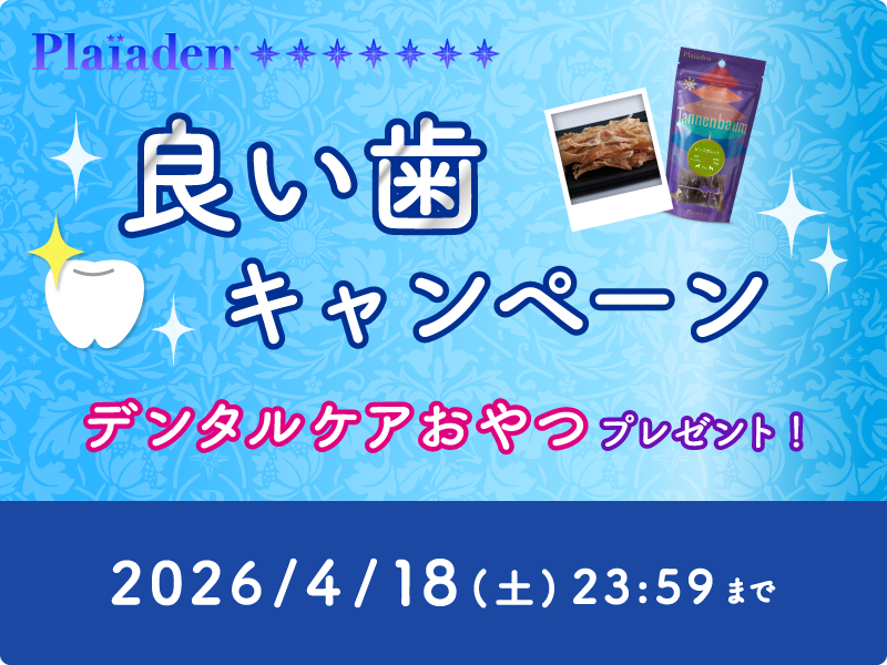 良い歯キャンペーンスタート！カミカミおやつで美味しくデンタルケア♪