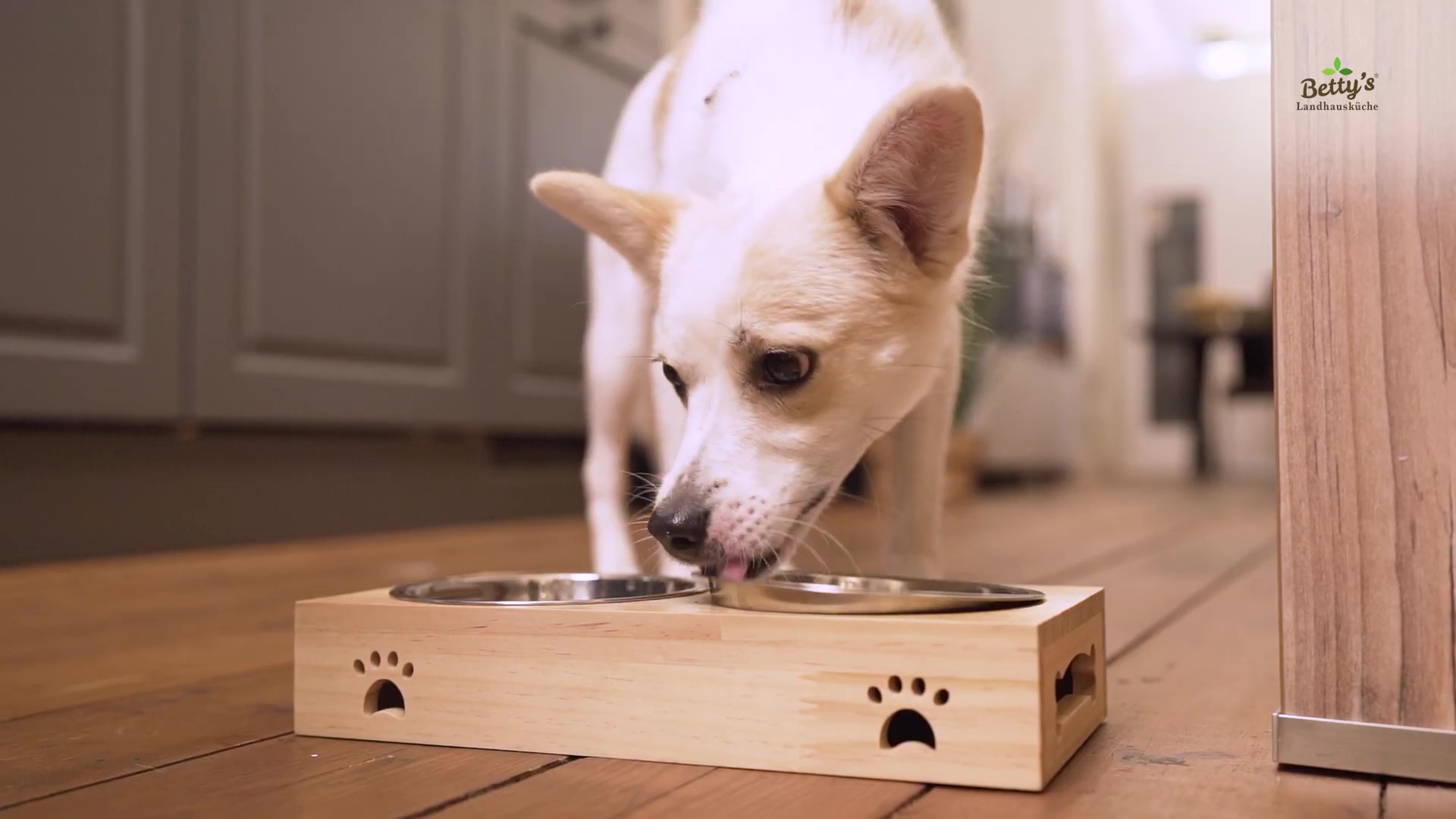 ベティおばあちゃんのドッグフードを食べる犬