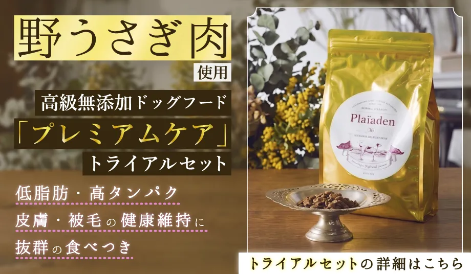 【ドッグ】プレミアムドライフード プレミアムケア数量限定トライアルセット（送料無料）