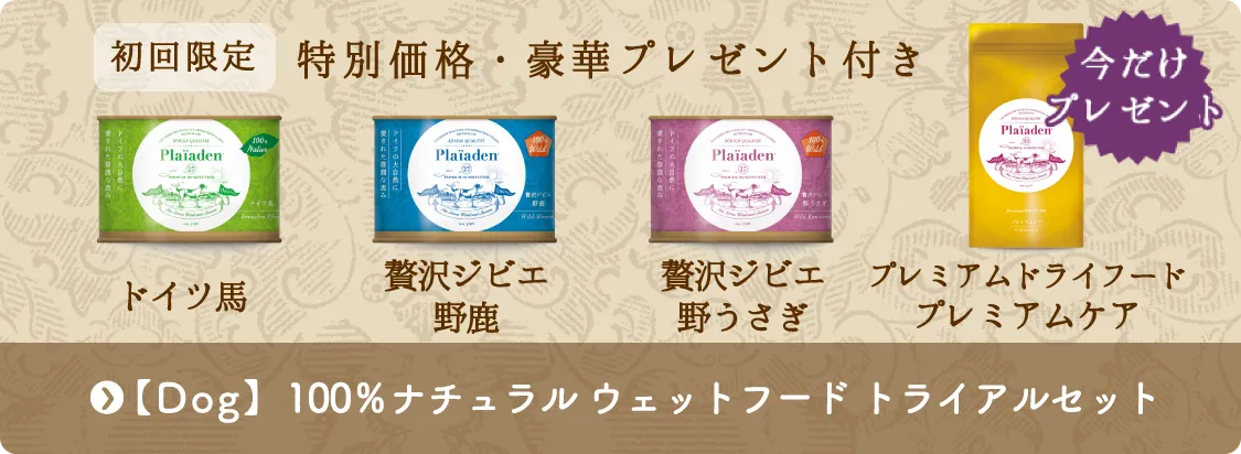 特別価格 ドッグ 100％ナチュラル ウェットフード数量限定トライアルセット