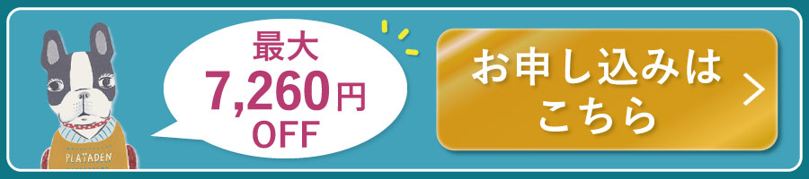最大7,260円％OFF 定期コースお申し込みはこちら
